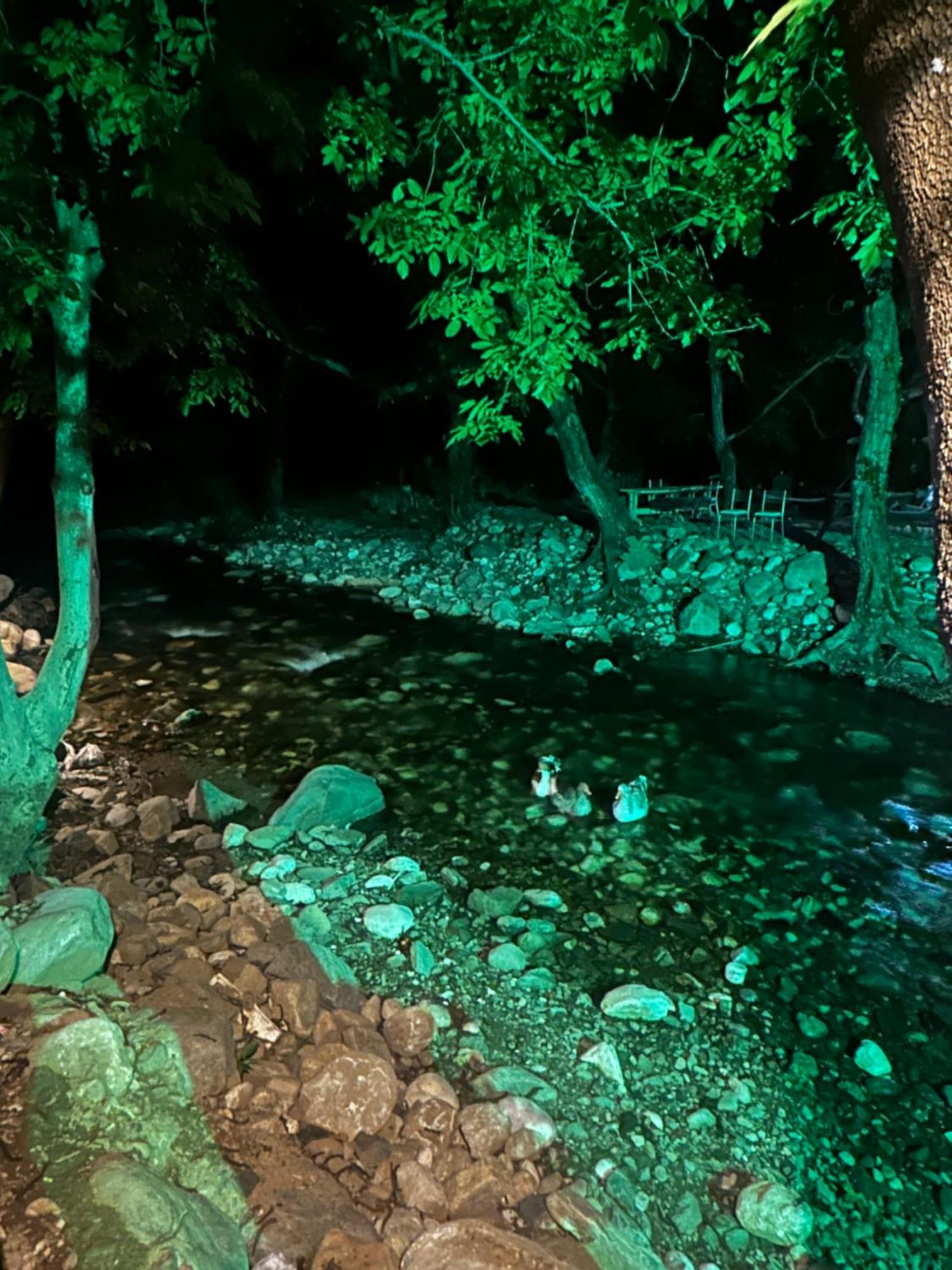 Sakliderebutikotel Edremit  Bagian luar foto